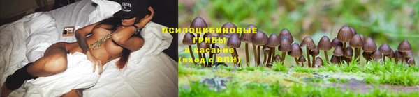 герыч Вязники