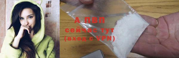 дмт Вяземский