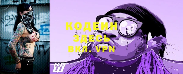 дмт Вяземский