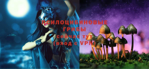 дмт Вяземский