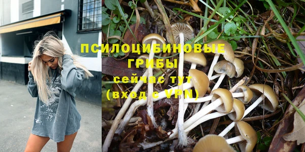 таблы Вязьма