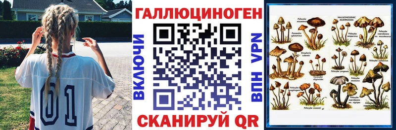 Купить закладки  Кропоткин  Псилоцибиновые грибы Psilocybe 